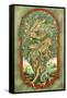 Dragon Tree-Linda Ravenscroft-Framed Stretched Canvas
