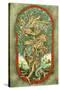 Dragon Tree-Linda Ravenscroft-Stretched Canvas