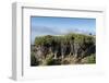 Dragon trees (Dracaena draco), La Palma Island, Canary Islands, Spain, Europe-Sergio Pitamitz-Framed Photographic Print