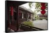 Dragon Well Green Tea Plantation near Hangzhou, Zhejiang province, China, Asia-Michael Snell-Framed Stretched Canvas