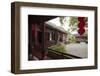 Dragon Well Green Tea Plantation near Hangzhou, Zhejiang province, China, Asia-Michael Snell-Framed Photographic Print