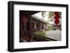 Dragon Well Green Tea Plantation near Hangzhou, Zhejiang province, China, Asia-Michael Snell-Framed Photographic Print