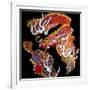 Dragon-Linda Arthurs-Framed Giclee Print