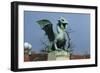 Dragon-Jurij Zaninovic-Framed Giclee Print