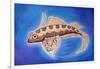 Dragonet Fish, 1999-Nat Morley-Framed Giclee Print