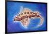 Dragonet Fish, 1999-Nat Morley-Framed Giclee Print