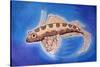 Dragonet Fish, 1999-Nat Morley-Stretched Canvas