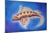 Dragonet Fish, 1999-Nat Morley-Mounted Giclee Print