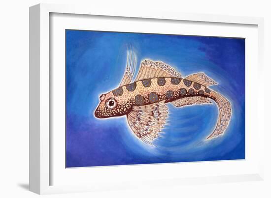 Dragonet Fish, 1999-Nat Morley-Framed Giclee Print