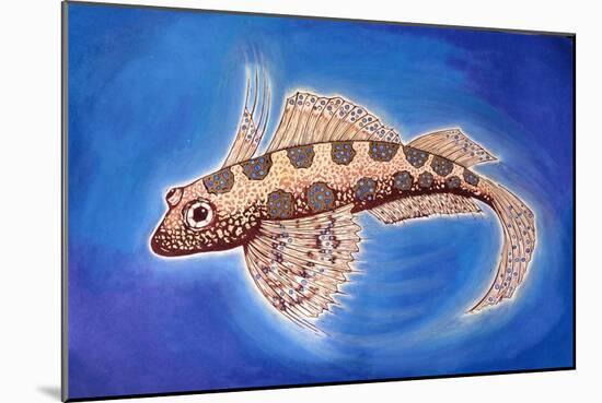 Dragonet Fish, 1999-Nat Morley-Mounted Giclee Print