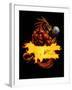 Dragonfire Logo Fire-FlyLand Designs-Framed Giclee Print