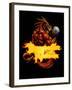 Dragonfire Logo Fire-FlyLand Designs-Framed Giclee Print