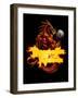 Dragonfire Logo Fire-FlyLand Designs-Framed Giclee Print