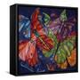 Dragonflies And Butterflies-Holly Carr-Framed Stretched Canvas