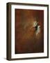 Dragonflies I-Kari Taylor-Framed Giclee Print