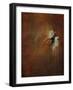 Dragonflies I-Kari Taylor-Framed Giclee Print