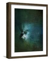 Dragonflies II-Kari Taylor-Framed Giclee Print