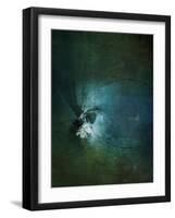 Dragonflies II-Kari Taylor-Framed Giclee Print