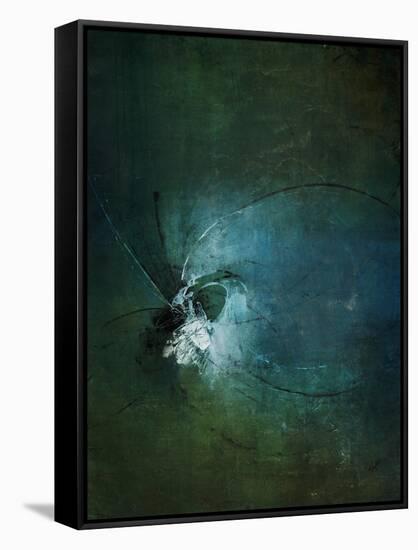 Dragonflies II-Kari Taylor-Framed Stretched Canvas