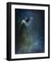 Dragonflies III-Kari Taylor-Framed Giclee Print