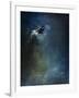 Dragonflies III-Kari Taylor-Framed Giclee Print