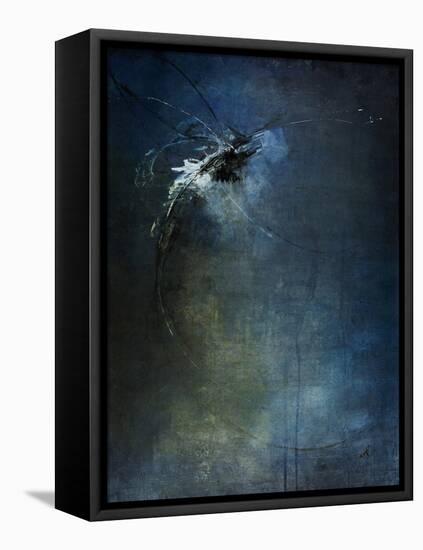 Dragonflies III-Kari Taylor-Framed Stretched Canvas