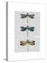 Dragonflies Print 1-Fab Funky-Stretched Canvas