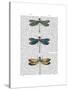 Dragonflies Print 1-Fab Funky-Stretched Canvas
