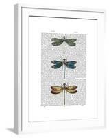 Dragonflies Print 1-Fab Funky-Framed Art Print