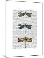 Dragonflies Print 1-Fab Funky-Mounted Art Print