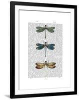 Dragonflies Print 1-Fab Funky-Framed Art Print