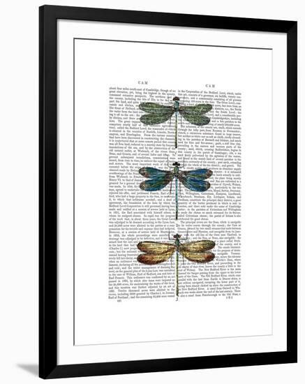 Dragonflies Print 1-Fab Funky-Framed Art Print