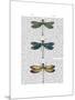 Dragonflies Print 1-Fab Funky-Mounted Art Print