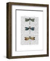 Dragonflies Print 1-Fab Funky-Framed Art Print