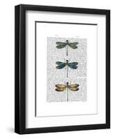 Dragonflies Print 1-Fab Funky-Framed Art Print