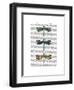 Dragonflies Print 1-Fab Funky-Framed Art Print