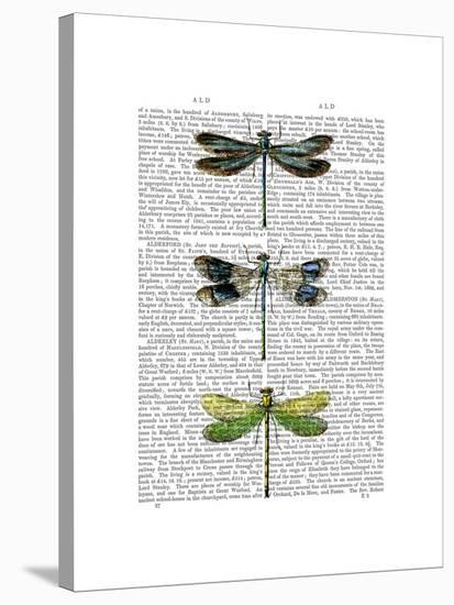 Dragonflies Print 2-Fab Funky-Stretched Canvas