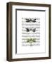 Dragonflies Print 2-Fab Funky-Framed Art Print