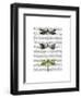 Dragonflies Print 2-Fab Funky-Framed Art Print