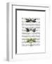 Dragonflies Print 2-Fab Funky-Framed Art Print