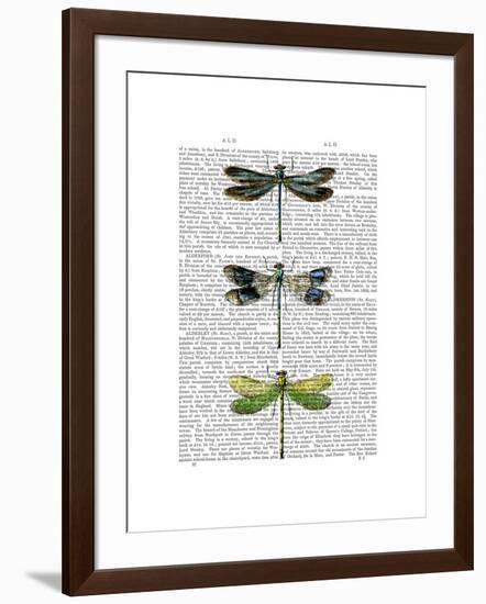 Dragonflies Print 2-Fab Funky-Framed Art Print