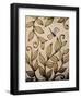 Dragonfly 8-Timothy Craig-Framed Art Print