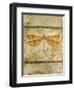 Dragonfly Among The Ferns-C-Jean Plout-Framed Giclee Print