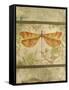 Dragonfly Among The Ferns-C-Jean Plout-Framed Stretched Canvas