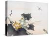 Dragonfly and a Pumpkin Blossom-Ogata Gekko-Stretched Canvas