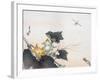 Dragonfly and a Pumpkin Blossom-Ogata Gekko-Framed Giclee Print