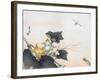 Dragonfly and a Pumpkin Blossom-Ogata Gekko-Framed Giclee Print