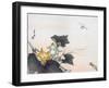 Dragonfly and a Pumpkin Blossom-Ogata Gekko-Framed Giclee Print