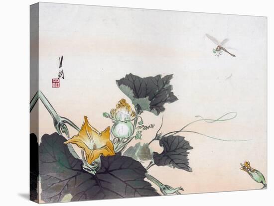 Dragonfly and a Pumpkin Blossom-Ogata Gekko-Stretched Canvas