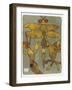 Dragonfly and Friends 16-Maria Pietri Lalor-Framed Giclee Print